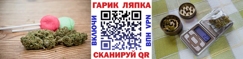 продажа наркотиков  Гороховец  Еда ТГК конопля 