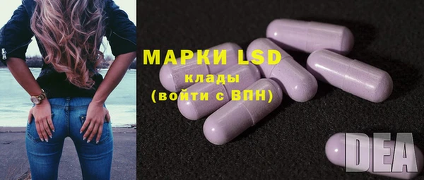винт Бородино