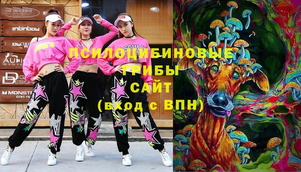 индика Баксан