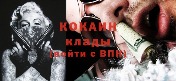 метадон Богданович