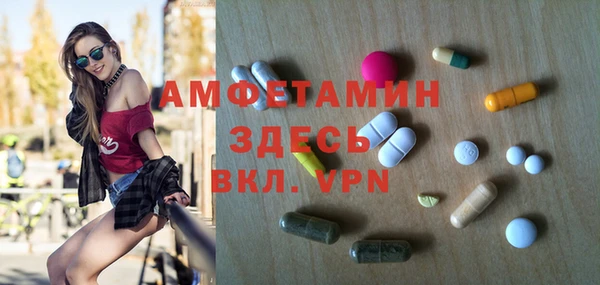 метадон Богданович