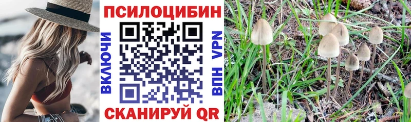 Галлюциногенные грибы ЛСД  Гороховец 